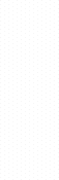 Fortune Solar Company